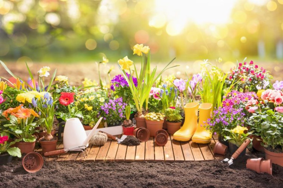 30 практичных лайфхаков для дачи своими руками — легко и полезно