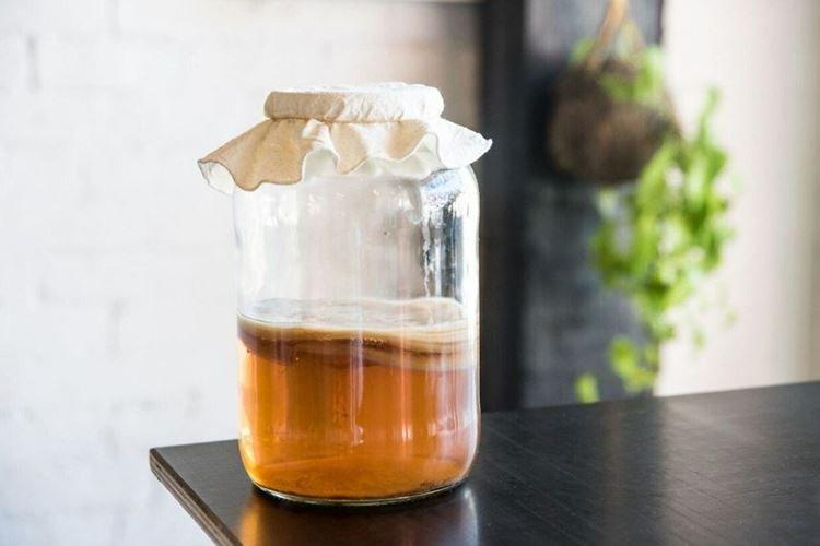 Народная медицина - Чайный гриб