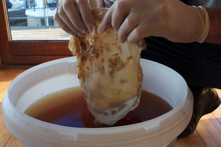 Болезни - Уход за чайным грибом