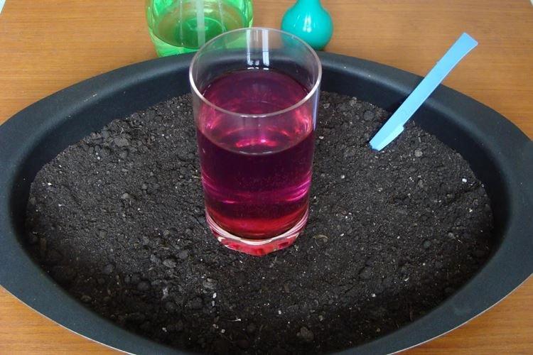 Марганцовка - Чем обеззаразить почву перед посадкой