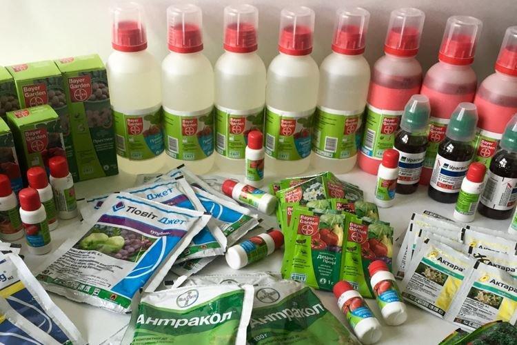 Фунгициды и инсектициды - Чем обеззаразить почву перед посадкой