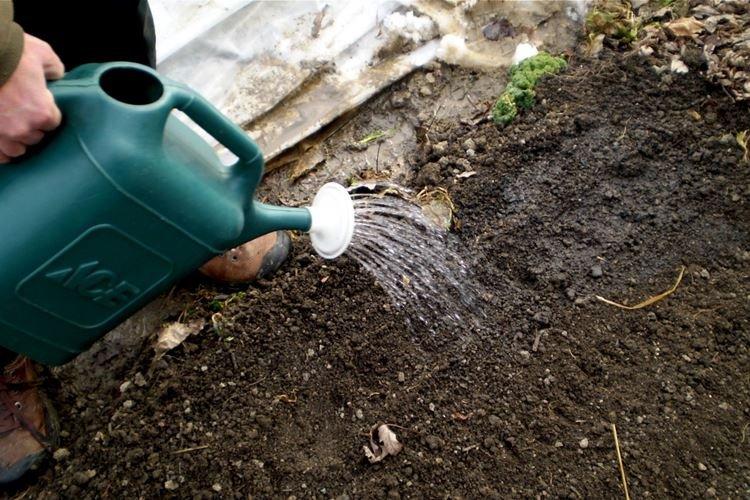 Обработка почвы после обеззараживания