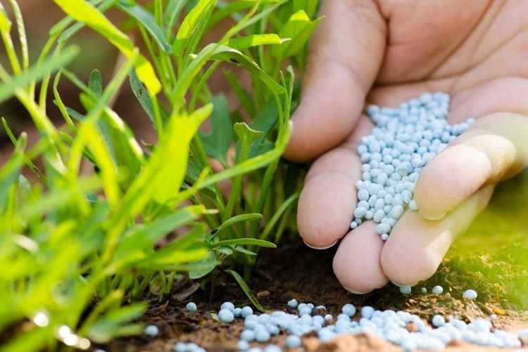 Минеральные удобрения - Чем подкормить малину весной