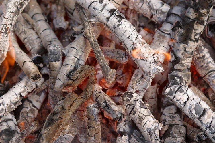 Подкормка рассады петунии золой