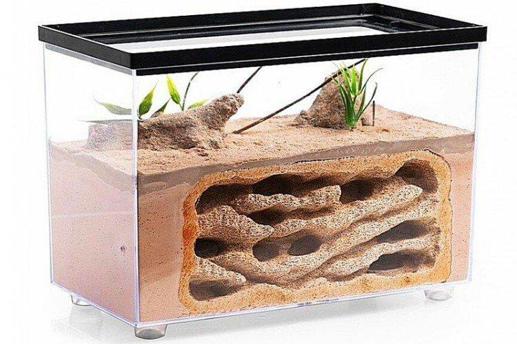 Муравьиная ферма - Что подарить мальчику на Новый год 2021