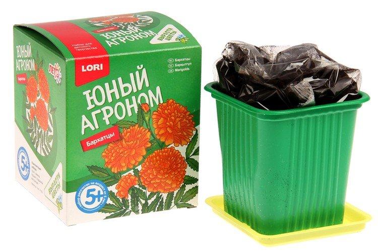 Набор для выращивания растений - Что подарить ребенку на Новый год 2021