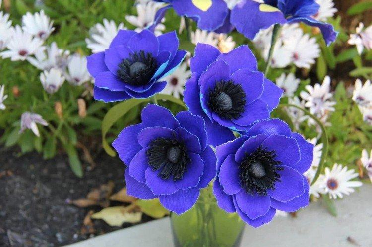 Анемоны - Многолетние цветы для клумбы