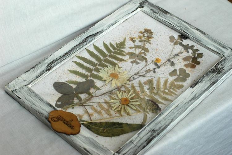 Гербарий в интерьере - Декор комнаты своими руками