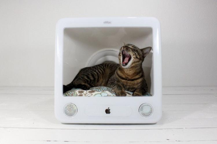 Домик для кошки своими руками: 11 простых идей (фото)