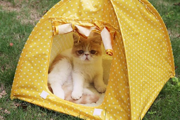 Домик для кошки своими руками - фото и идеи