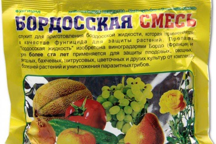 Бордосская жидкость - Чем обработать помидоры от фитофторы