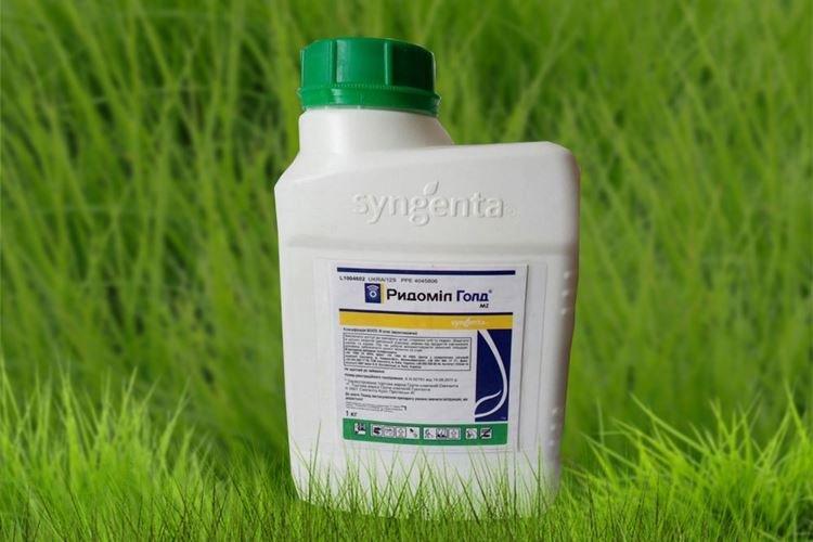 Ридомил Голд - Чем обработать помидоры от фитофторы