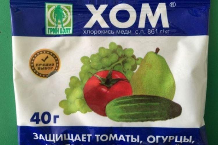 ХОМ - Чем обработать помидоры от фитофторы