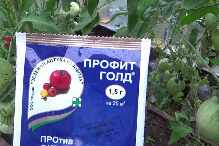 Профит Голд - Чем обработать помидоры от фитофторы