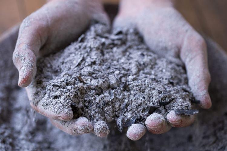 Зола - Народные средства от фитофторы на помидорах