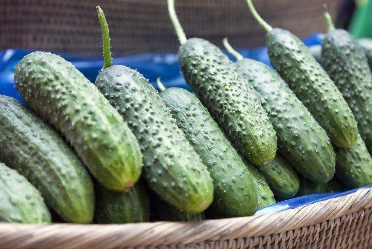 Русский изумруд