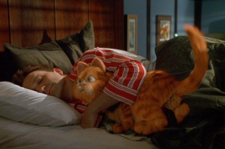 Гарфилд (2004)