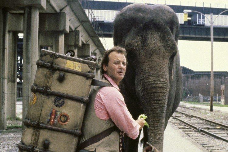 Больше, чем жизнь (1996)