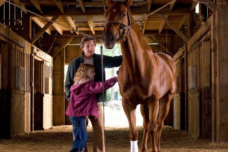 Мечтатель (2005)