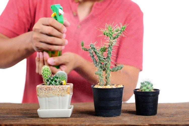 Опрыскивание