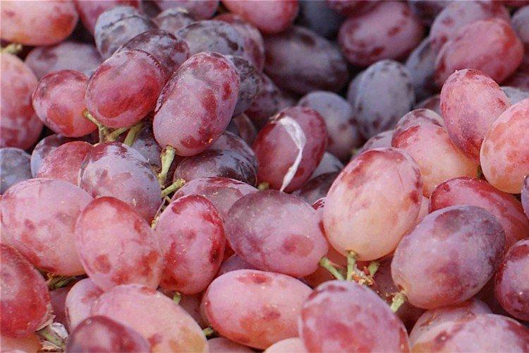 Красное пламя