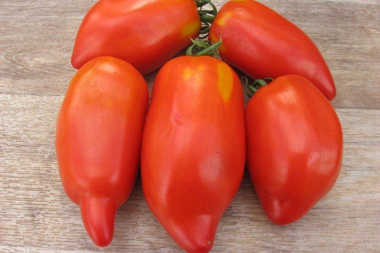 Перцевидный