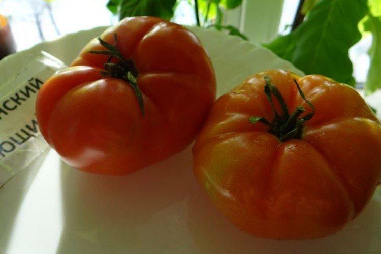 Японский стелющийся