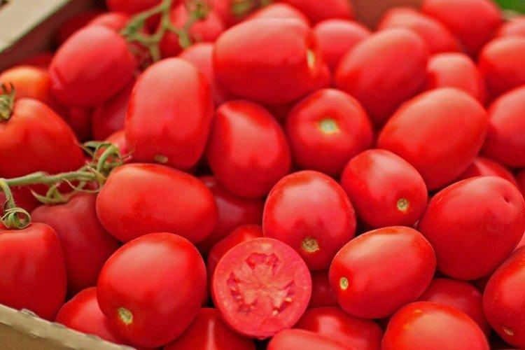 Пьетра Росса