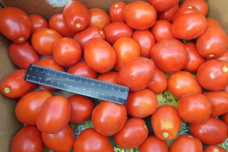 Медовая сливка