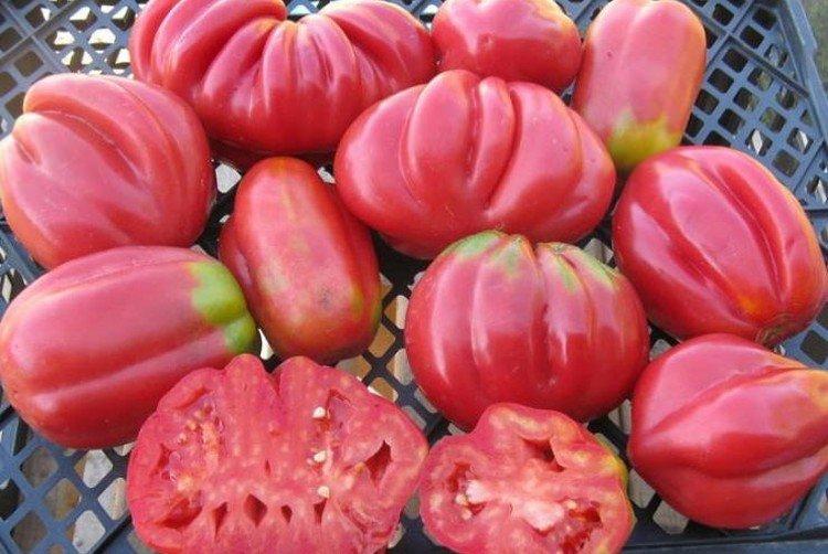 Розовый инжир