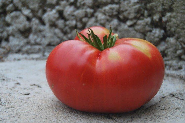 Розовый гигант