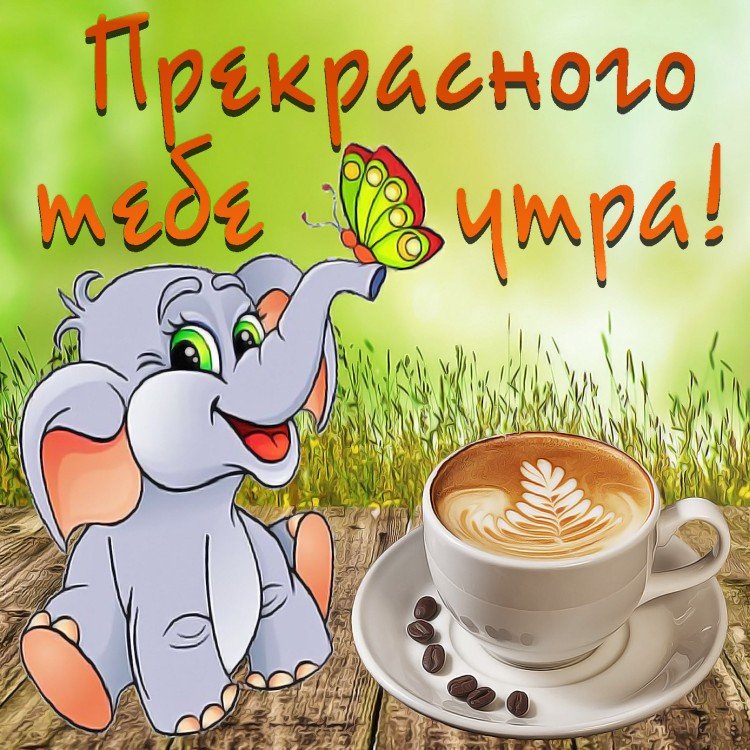 Красивые картинки «Доброе утро»