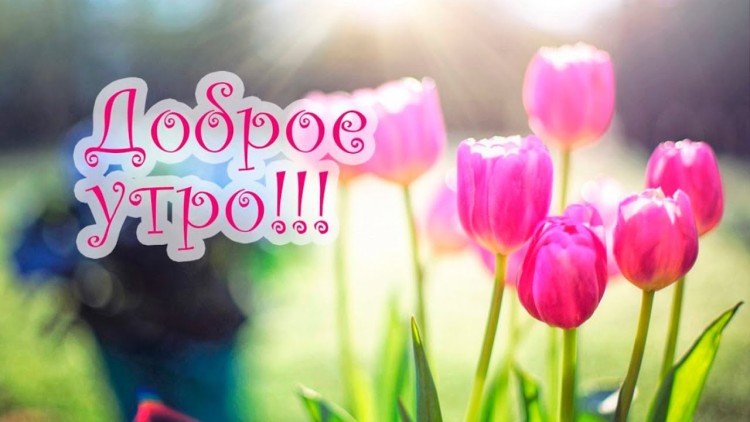 Весенние картинки «С добрым утром»