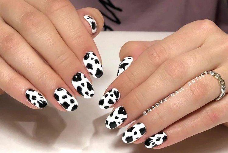 Коровий принт