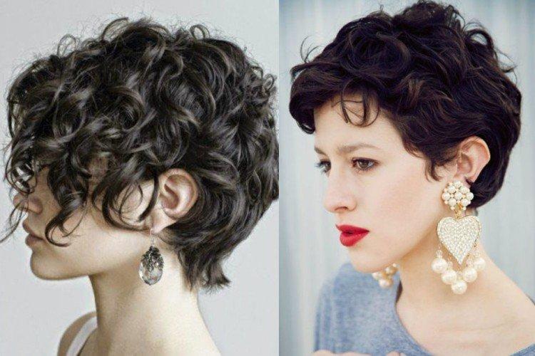 Пикси-боб на кудряшках