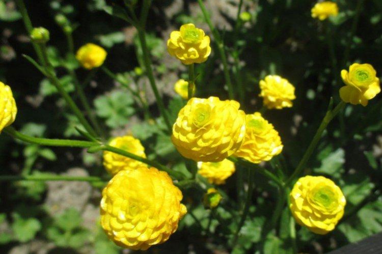 Температура