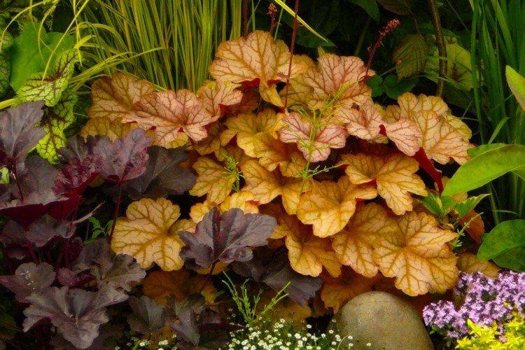 Температура