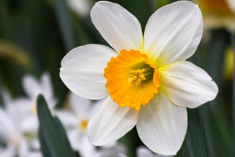 Температура