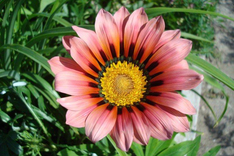 Гацания – фото