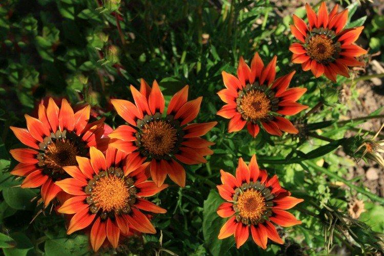 Гацания – фото