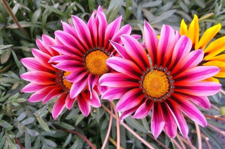 Гацания – фото