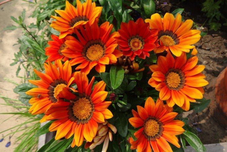 Гацания – фото