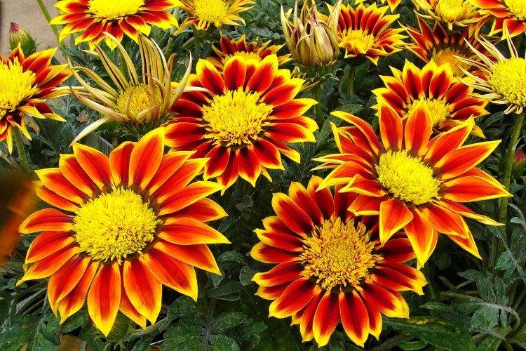 Гацания – фото