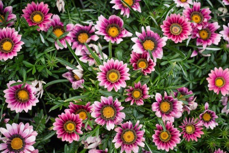 Гацания – фото