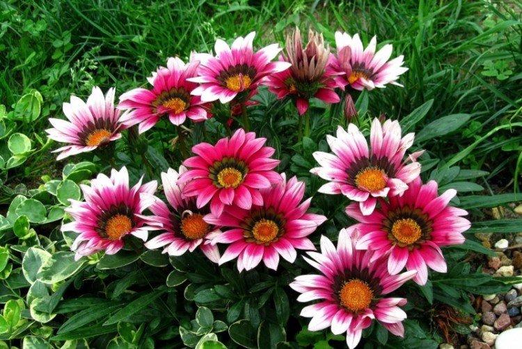 Гацания – фото