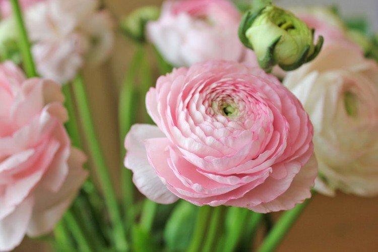 Температура