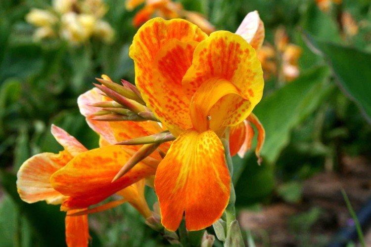 Зимовка и хранение