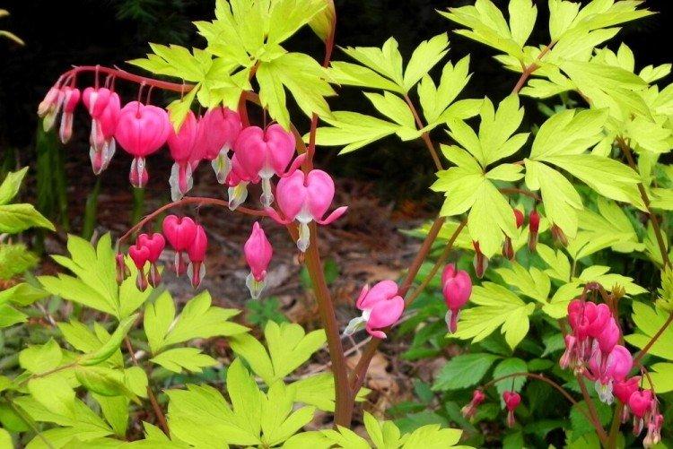 Общая информация