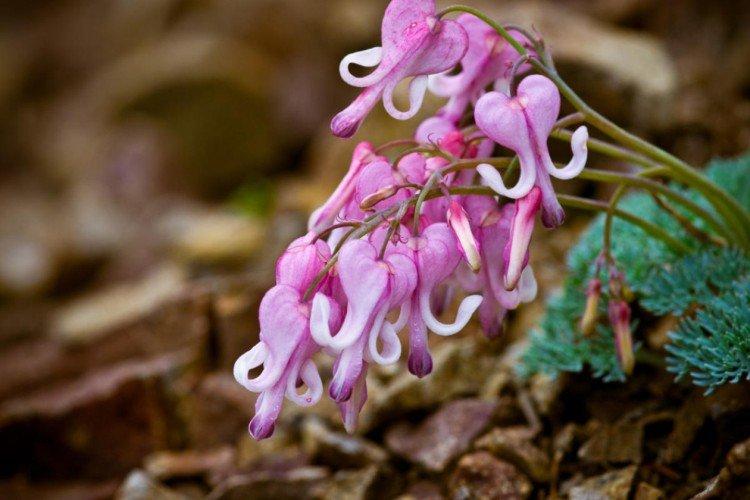 Температура