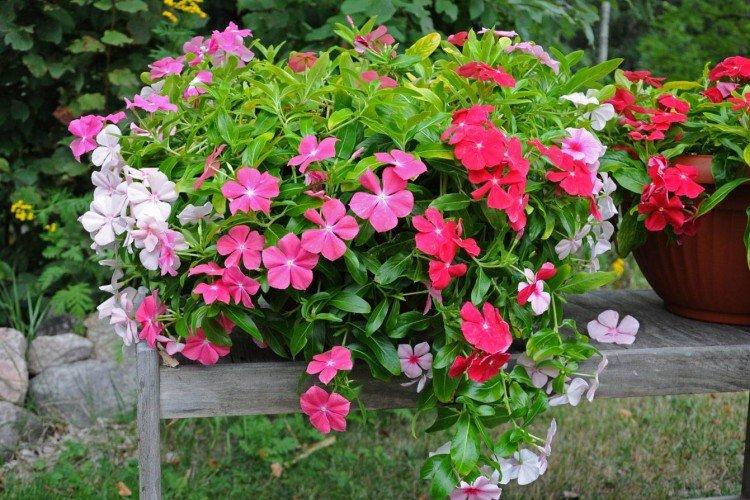 Общая информация